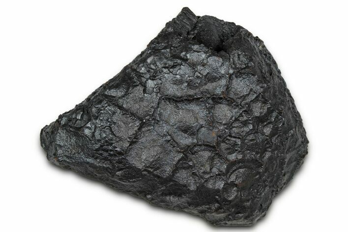 Dragon Scale Stone (Iron, Manganese, Siderite Nodule) #350190